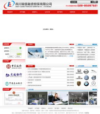 瑞信融資擔保與卡瑞網(wǎng)絡攜手打造精品網(wǎng)站建設案例展示