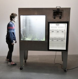 慎入 冰島男子昆蟲餐 居家飲食的另類食物與軟件開發(fā)視角