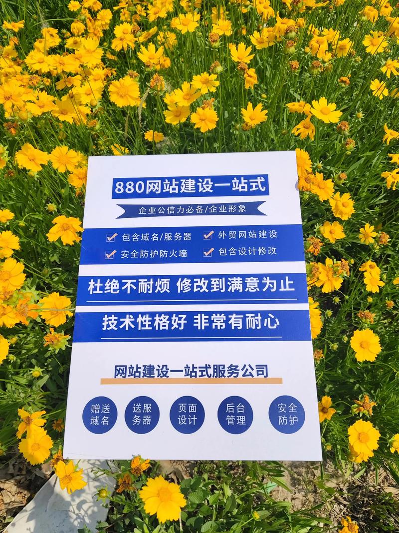 網(wǎng)站建設一站式解決方案 高效開發(fā)，全面服務