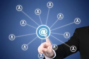 網站建設與軟件開發的商業價值