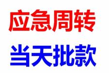 咸寧嘉魚典當與抵押信息發布指南